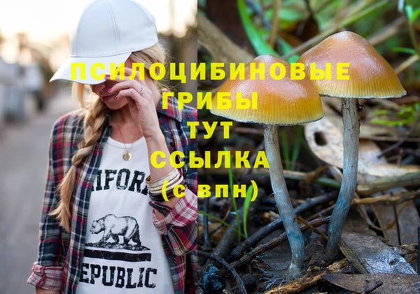 jwh Краснослободск